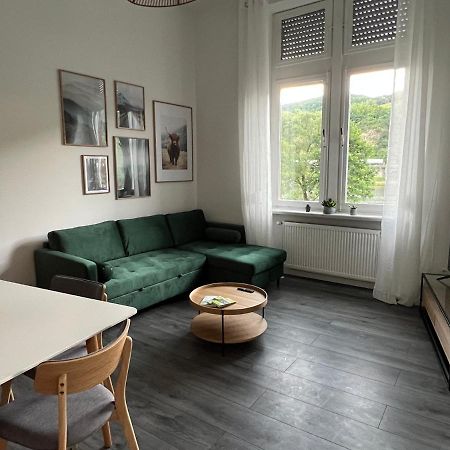 Direkter Moselblick I Altbau I 4 Personen I Terrasse Apartment Sankt Aldegund Exterior photo