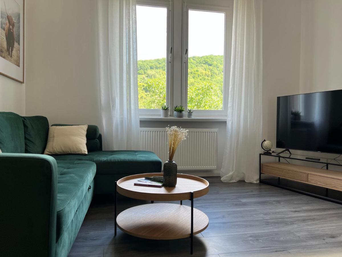 Direkter Moselblick I Altbau I 4 Personen I Terrasse Apartment Sankt Aldegund Exterior photo